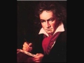 Ludwing Van Beethoven InnoGioia