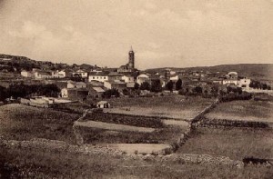 NULVI_PANORAMA_125