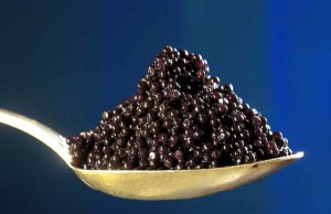 Caviar