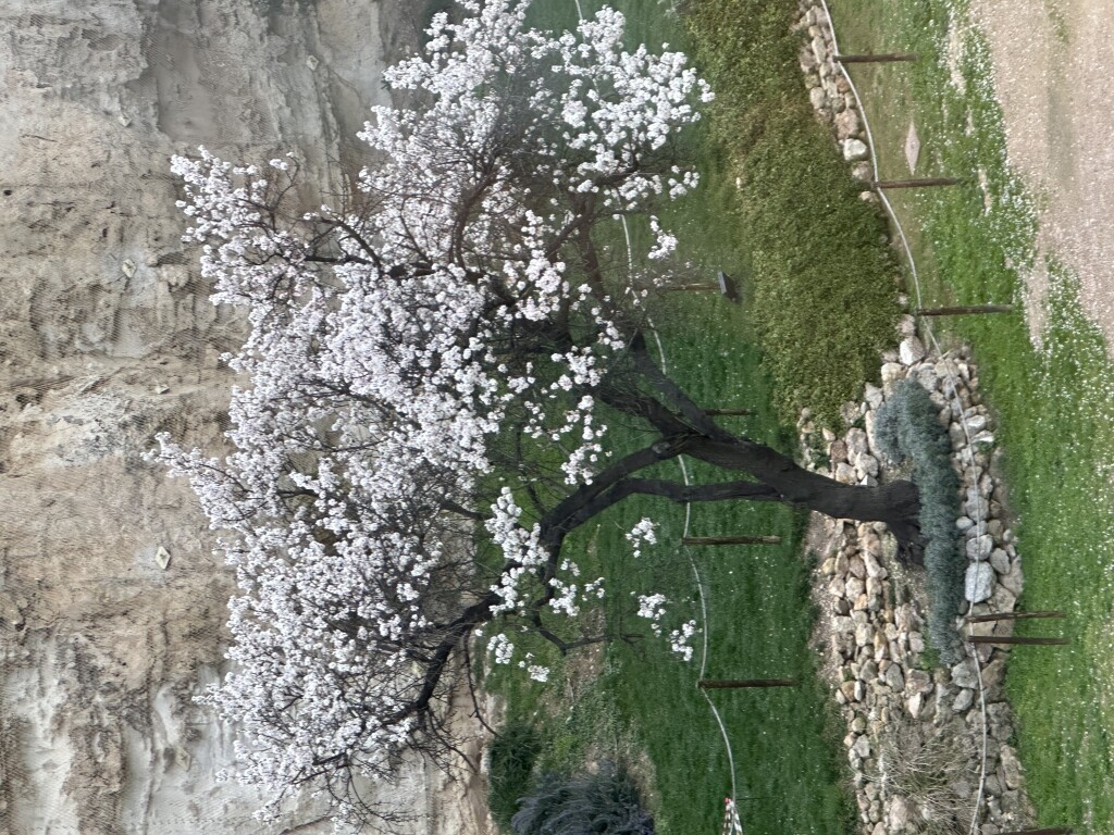 img_1318