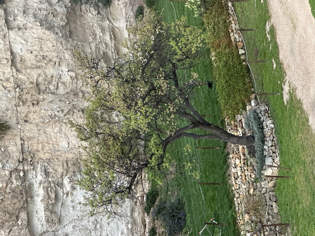 img_1998