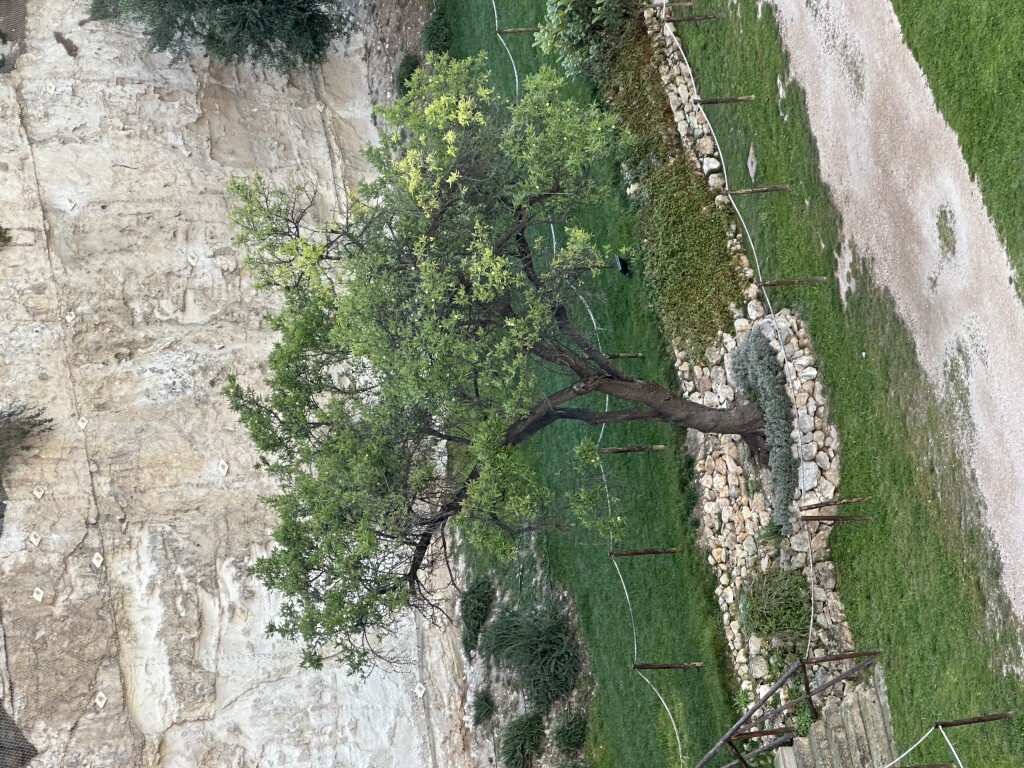 img_2505