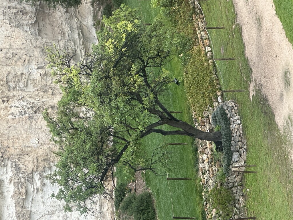 img_3237