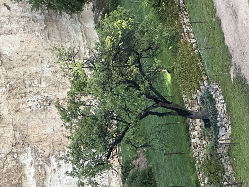 img_3247